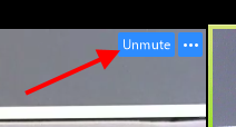 Unmute button