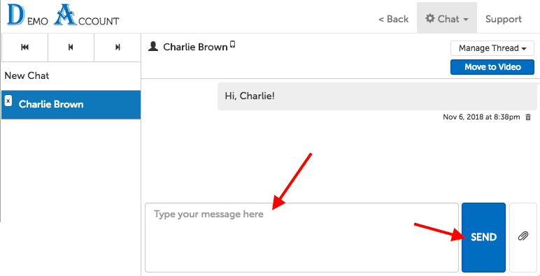 Example of chat window, with arrows pointing to the text input field and "Send" button